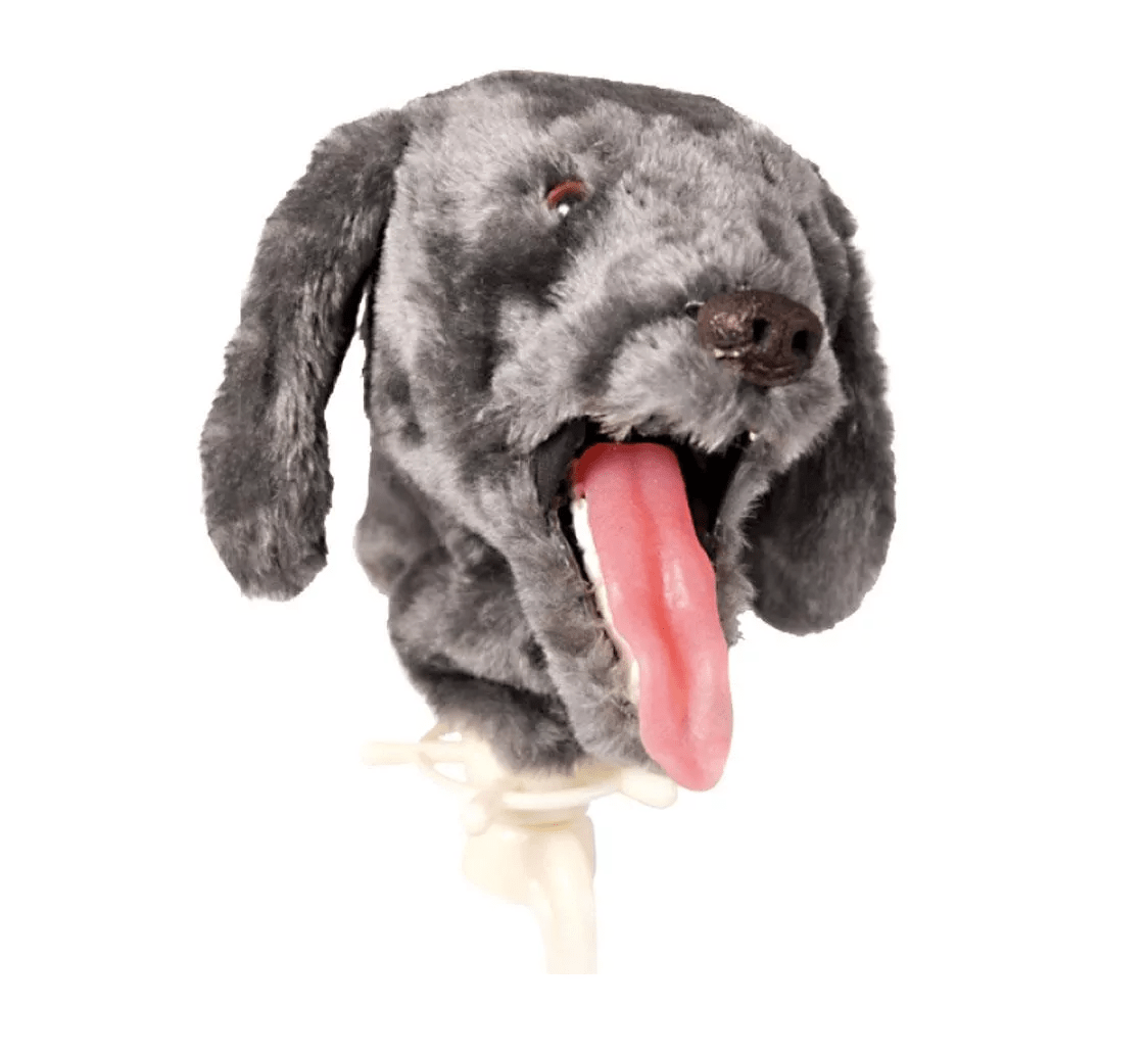 K - 9 Intubationstrainer - Erler - Zimmer